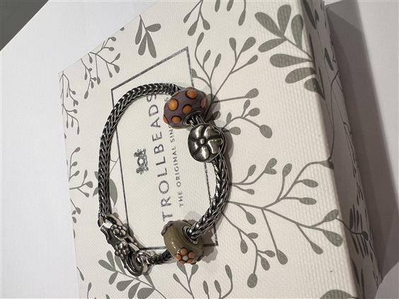 Bracelet Trollbeads in Silver STARTTHUN1 - STARTTHUN1